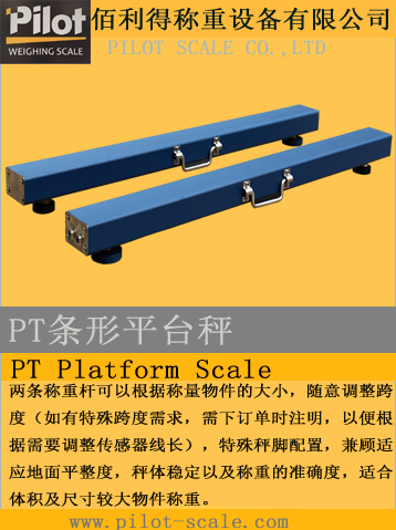 PT條形平臺(tái)秤